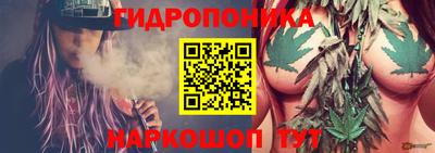 прущие крисы Ставрополь