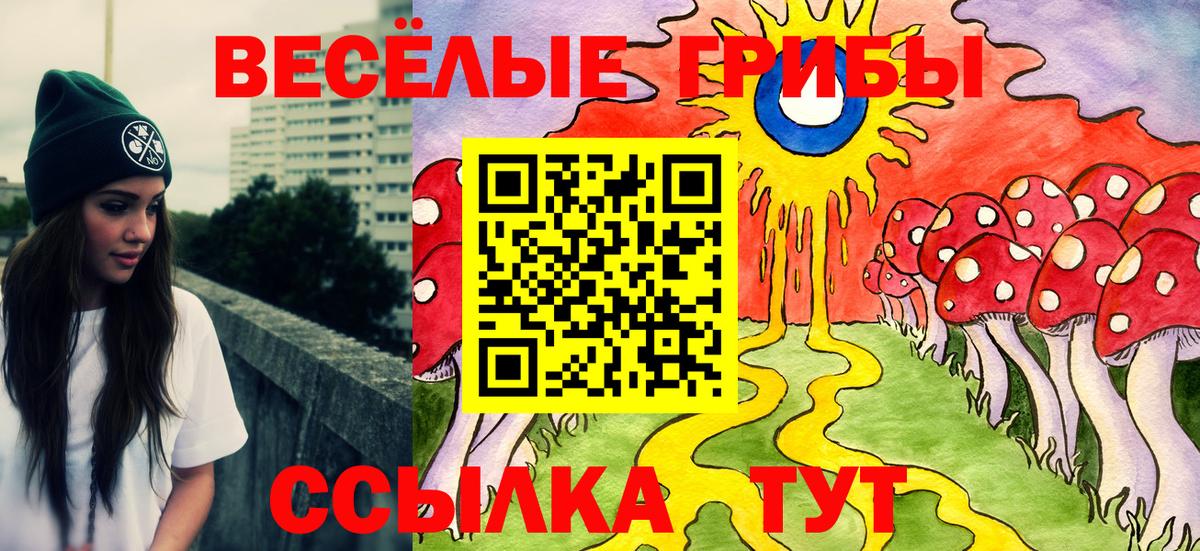 Новосибирск  Псилоцибиновые грибы MAGIC MUSHROOMS  Вход с VPN 